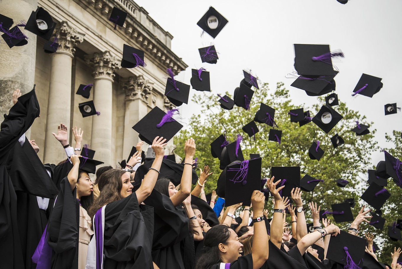 Higher Education